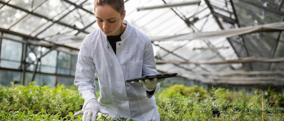 Agraringenieurin im Gewächshaus. Wissenschaftlerin, die das Wachstum der Pflanzen auf einem Bio-Bauernhof untersucht. © Getty Images/ 	Luis Alvarez